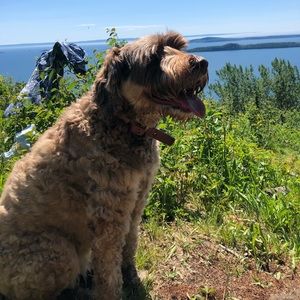 Meet your Posher, Cassy